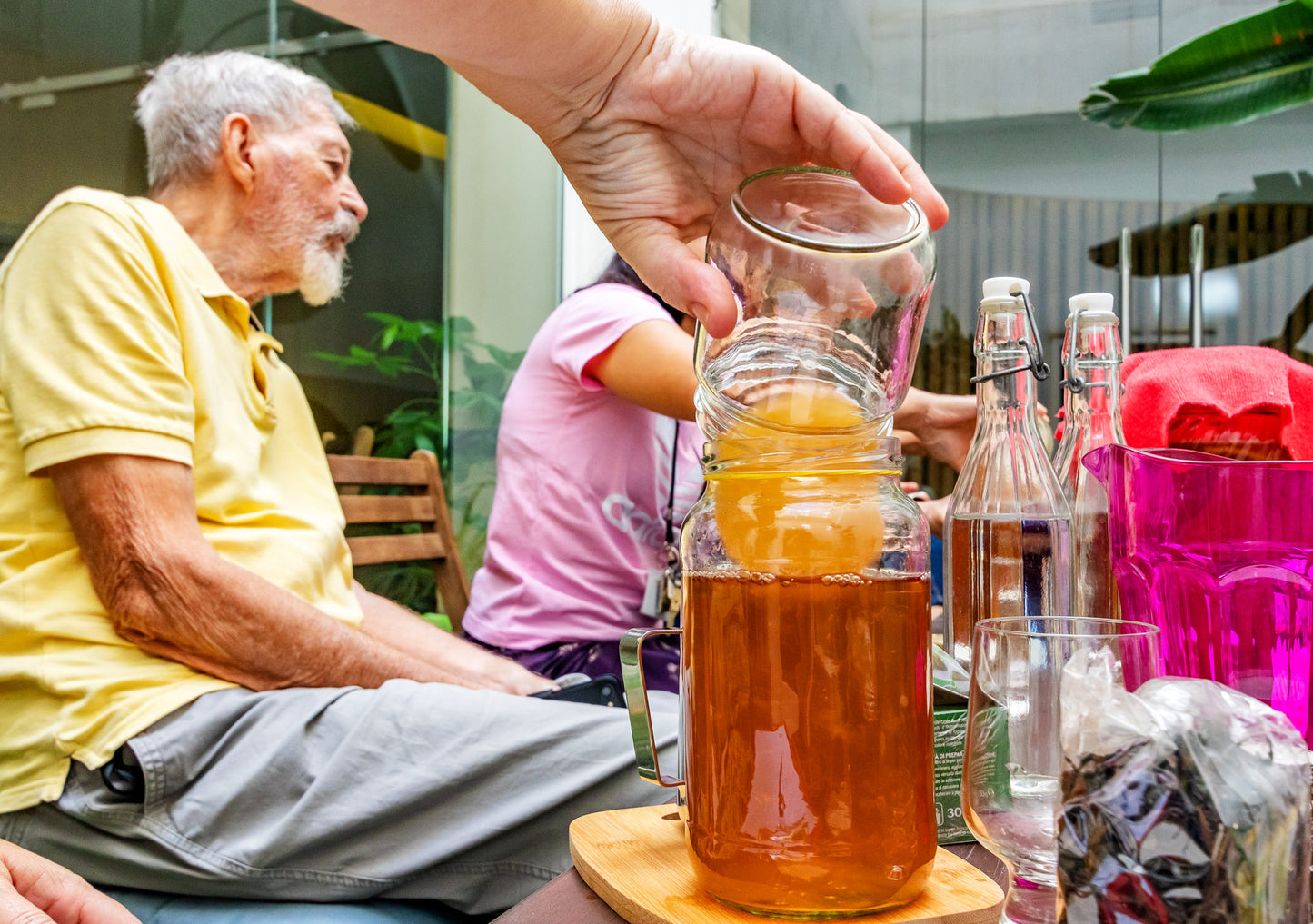 SCOBY + Starter Liquid